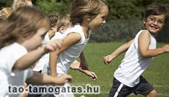 tao adófizetés, társasági adó támogatás, céges adóbevallás, adóalap csökkentés