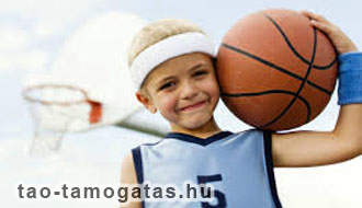 tao, társasági adó társasági adó fizetés, céges adóbevallás, adóalap csökkentés, könyvelés