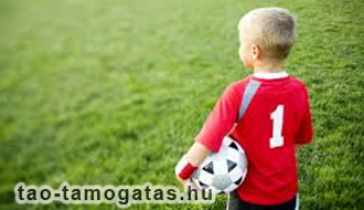 társasági adó társasági adó támogatás, céges adóbevallás, adóalap csökkentés