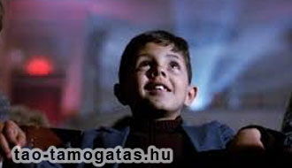 látványsport, tao, filmművészet, színház társasági adó támogatás, adóbefizetés, jóváírás, adóalap csökkentés